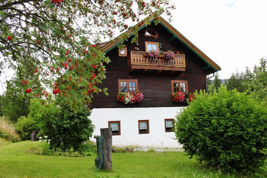 Ferienparadies Wiesenbauer Санкт-Міхель-ім-Лунгау Екстер'єр фото