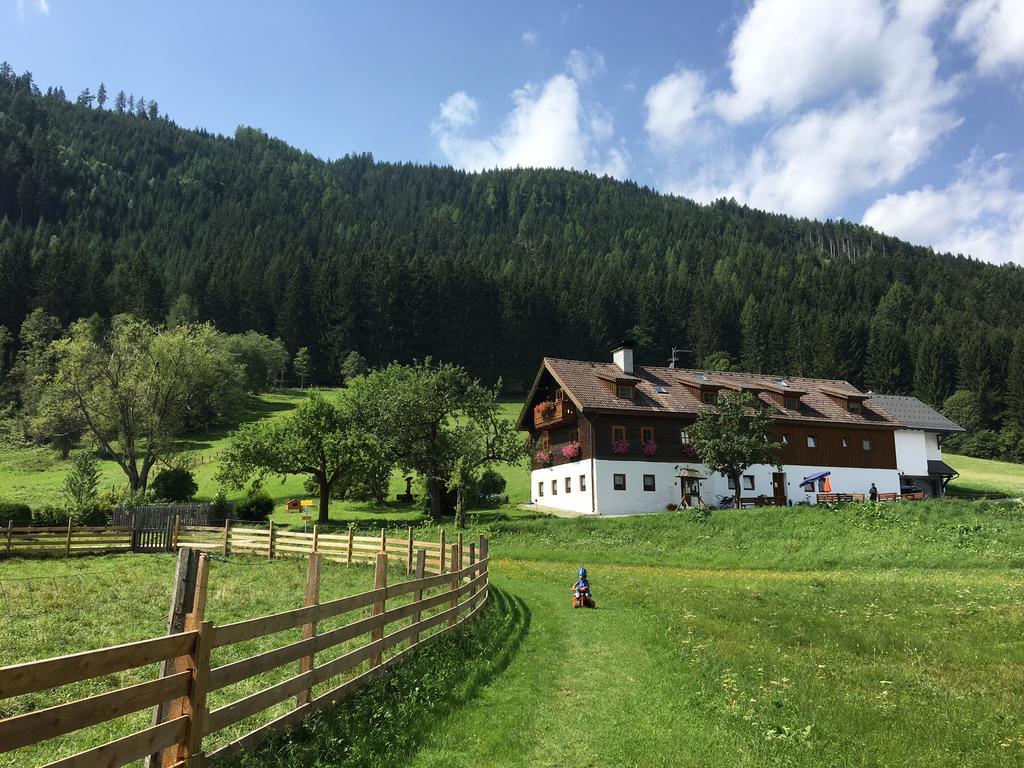 Ferienparadies Wiesenbauer Санкт-Міхель-ім-Лунгау Екстер'єр фото