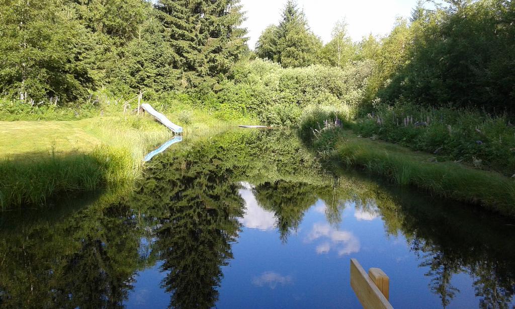 Ferienparadies Wiesenbauer Санкт-Міхель-ім-Лунгау Екстер'єр фото