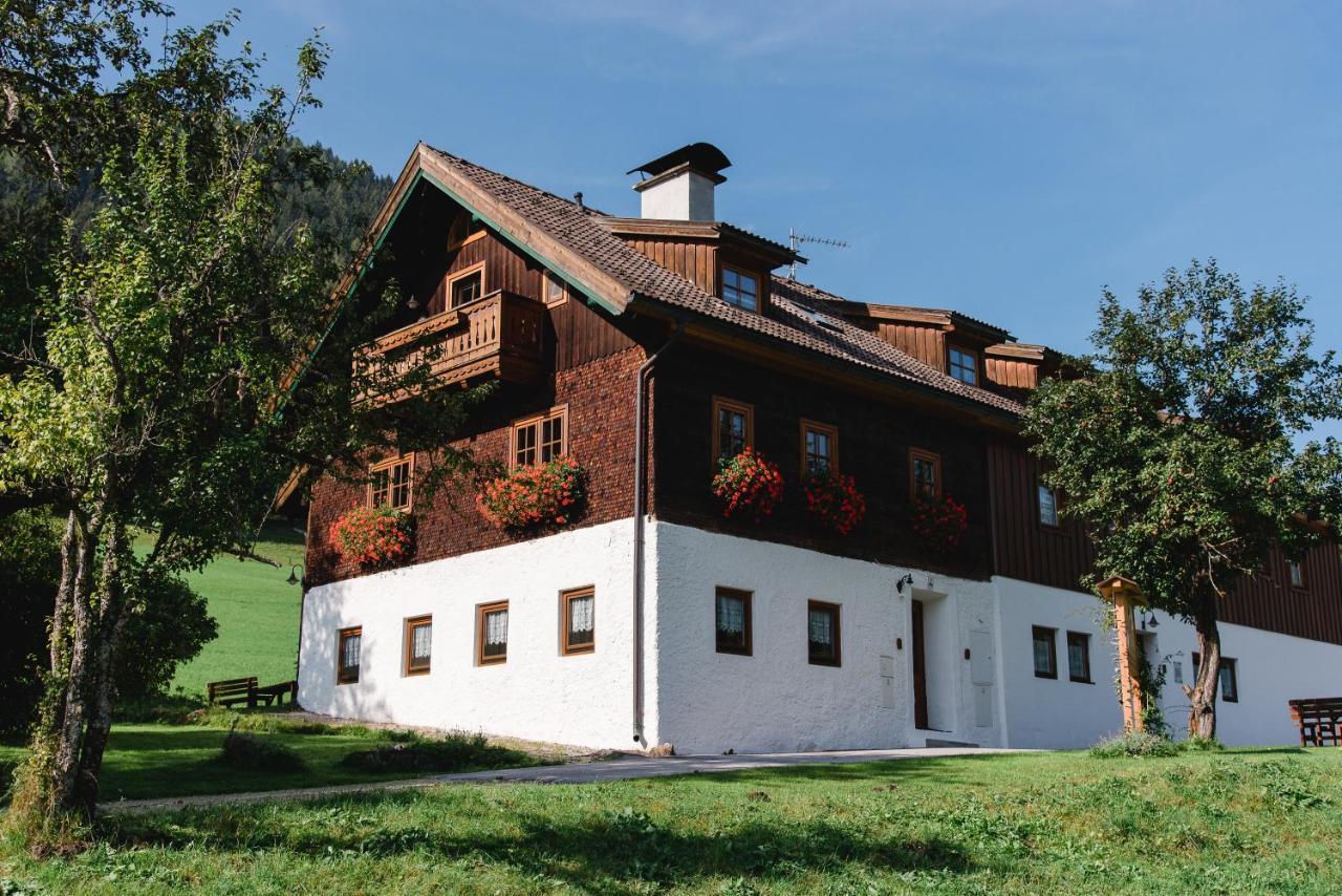 Ferienparadies Wiesenbauer Санкт-Міхель-ім-Лунгау Екстер'єр фото